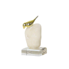 BIRD B