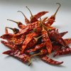Dried Red Chilli from India (Teja)