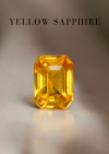 2.55 กะรัต / แซฟไฟร์ (Golden Yellow)