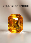 9.20 กะรัต / GUILD / H / แซฟไฟร์ (Yellow)