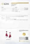 Magnificent GIA BURMA RUBY Earrings