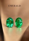 1.51 ct. / GIL / Emerald (Zambia)