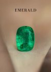3.67 ct. / GUILD / Emerald Zambia (Vivid Green)