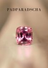 1.64 ct. / GUILD / H / PADPARADSCHA (SUNRISE)
