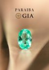 0.77 ct. / GIA / Paraiba (Blue Green)