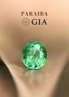 0.84 ct. / Bellerophon / Paraiba (Bluish Green)