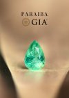 1.04 ct. / GIA / Paraiba (Bluish Green)
