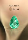 1.06 ct. / GIA / Paraiba (Bluish Green)