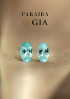 0.42 ct. / GIA / Paraiba (Greenish Blue)