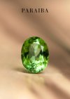 2.82ct. / Paraiba (Bluish Green)