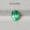 1.55 กะรัต / พาไรบา (Green)