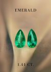 THE LIGHT KEEPER FIREFLY Earrings