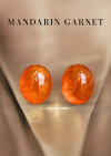 10.92 ct. / Mandarine Garnet (Spessatite)