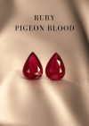 1.20 ct. / H / GUILD Ruby