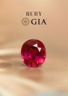 1.22 ct. / GIA / H / Ruby (SIAM)