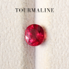 1.95 ct. / Tourmaline (Red)