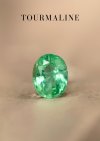 1.09 ct. / GIL / Tourmaline (Green)