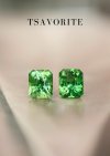 1.05 ct. + 1.05 ct. / Tsavorite (Green)