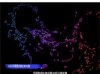 High-resolution fluorescent images - 5