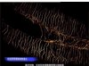 High-resolution fluorescent images - 7