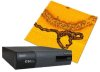 AFM Electrical Measurements Systems