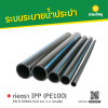 รหัสสินค้า : 6008013 ท่อตรา IPP (PE100) PN 8 SDR21,S10 ยาว 1 ม. (คาดฟ้า)