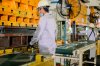 Press Production Line