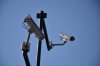 EP-68 : CCTV Installation in Koh Phangan for Round-the-Clock Security EP-68 : CCTV Installation in Koh Phangan for Round-the-Clock Security