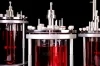 ถังปฏิกรณ์ชีวภาพ FerMac Bioreactor Vessels