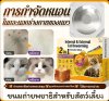 Cassiel Pet แมว เม็ดเคี้ยว 1 เม็ด แก้เห็บหมัด พยาธิภายใน