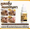 Cassiel Pet ผลิตภัณฑ์ดูแลหูสัตว์เลี้ยง สูตรอ่อนโยน ลดกลิ่น