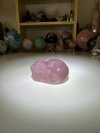 Sleeping Cat Rose quartz carving