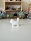 White Jade walking cat