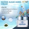 MARINE ALGAE AGING CREAM MASK