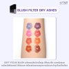 BLUSH FILTER DRY ASHES