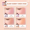 BLUSH GUMMY CHEEK STAIN