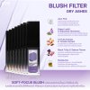 BLUSH FILTER DRY ASHES