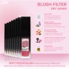 BLUSH FILTER DRY ASHES