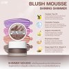 BLUSH MOUSSE SHINING SHIMMER