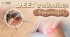 "DEET"สารป้องกันยุงที่คุณแม่ควรรู้จัก "DEET"สารป้องกันยุงที่คุณแม่ควรรู้จัก