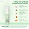 MOUTH SPRAY PEPPERMINT REFRESHING