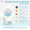 TRANSLUCENT PLANKTON WHITE CREAM