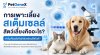 การเพาะเลี้ยงสเต็มเซลล์สัตว์เลี้ยงคืออะไร | PetGeneX