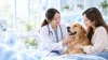 When It’s Time to Use Pet Stem Cells: Steps and Costs | PetGeneX When It’s Time to Use Pet Stem Cells: Steps and Costs | PetGeneX