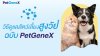 How to Slow Age-Related Decline in Senior Pets How to Slow Age-Related Decline in Senior Pets