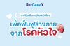 สเต็มเซลล์กับโรคหัวใจในสัตว์เลี้ยงทางเลือกการฟื้นฟูใหม่ สเต็มเซลล์กับโรคหัวใจในสัตว์เลี้ยงทางเลือกการฟื้นฟูใหม่