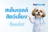 เก็บสเต็มเซลล์หมา เก็บสเต็มเซลล์หมา
