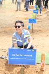 “รักษ์โลกกับลามิน่า” ปลูกป่าเพื่อการวิจัย “รักษ์โลกกับลามิน่า” ปลูกป่าเพื่อการวิจัย
