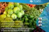 ส่งออกสินค้าเกษตรและอุตสาหกรรมเกษตร Q2/2568 ขยายตัวต่อเนื่อง มองครึ่งปีหลังผลจากการปรับขึ้นภาษีสหรัฐฯจะยิ่งกระทบกลุ่มสินค้าที่มี Margin ต่ำ ส่งออกสินค้าเกษตรและอุตสาหกรรมเกษตร Q2/2568 ขยายตัวต่อเนื่อง มองครึ่งปีหลังผลจากการปรับขึ้นภาษีสหรัฐฯจะยิ่งกระทบกลุ่มสินค้าที่มี Margin ต่ำ