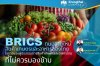 BRICS ถนนสายใหม่สินค้าเกษตรและอาหารของไทย  โอกาสของผู้ประกอบการสินค้าเกษตรและอาหารไทยที่ไม่ควรมองข้าม